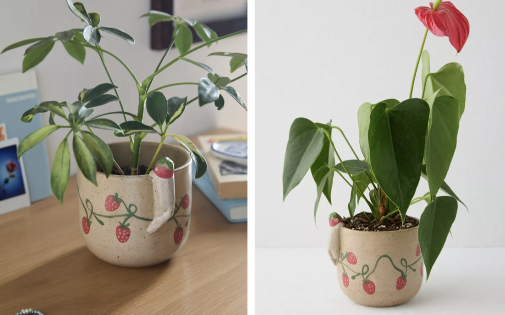 Screenshot 2024 11 12 at 12 50 05 PM